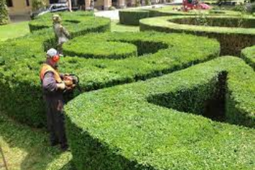 Corso di formazione gratuita - giardinieri d&#39;arte