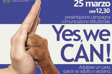 Immagine decorativa