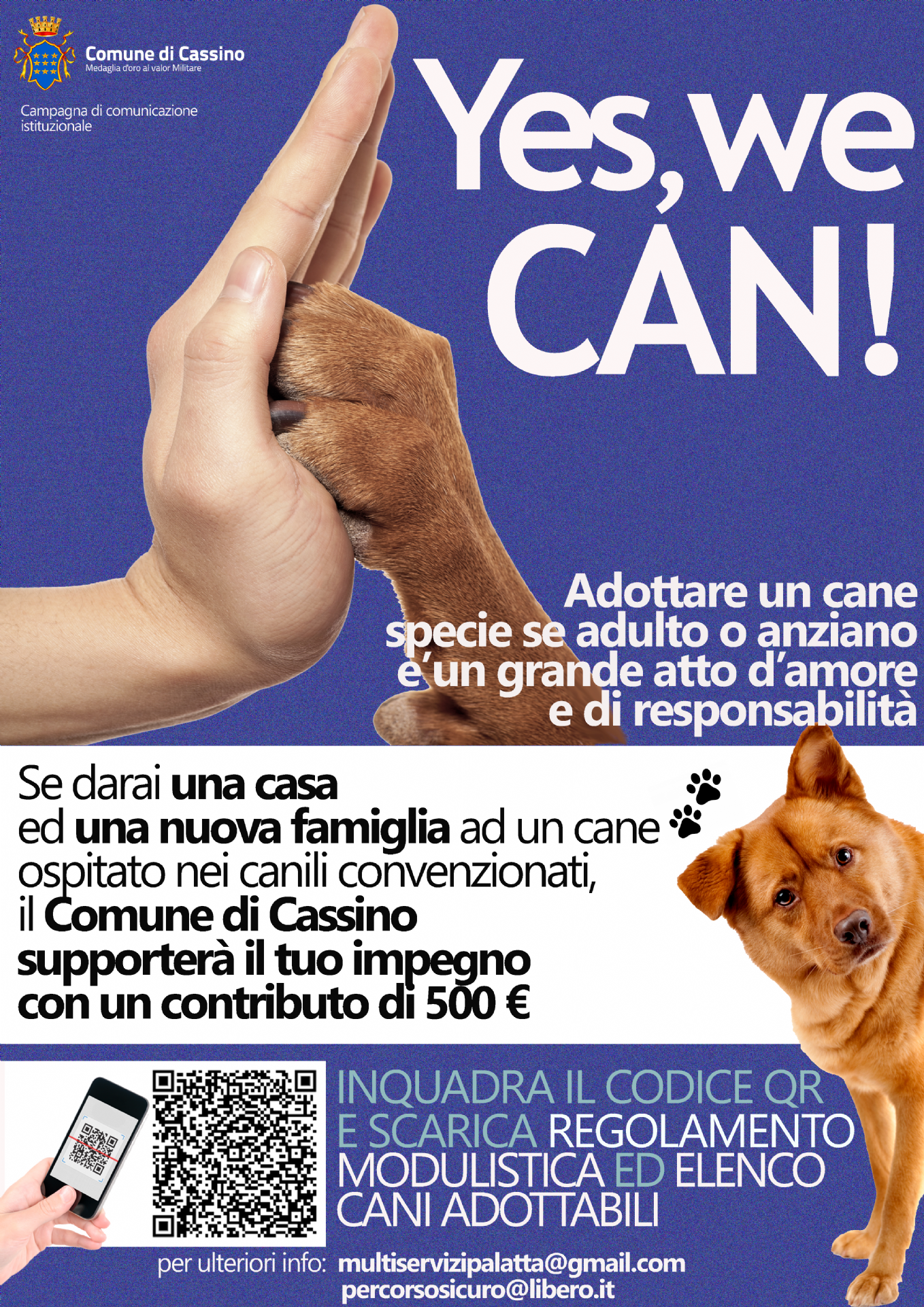Immagine decorativa