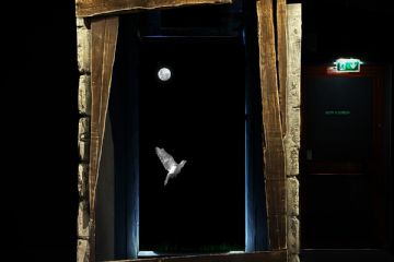 opera realizzata con la ristrutturazione Fondi del Pnrr