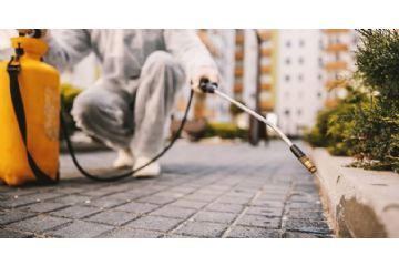 Disinfestazione adulticida in programma 20 e 22 luglio