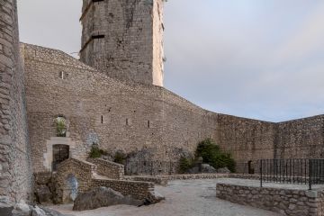 Sfoglia la galleria