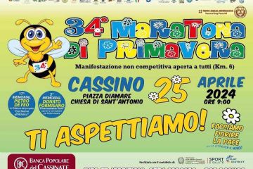 Sfoglia la galleria
